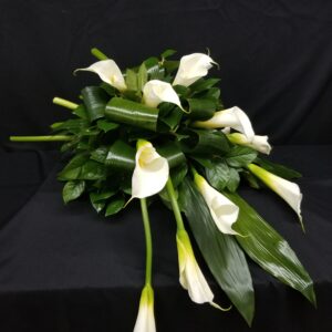 Repos Bienheureux (FV-U71)