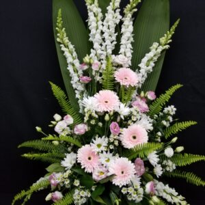 Quiétude bienfaisante (FV-C38)