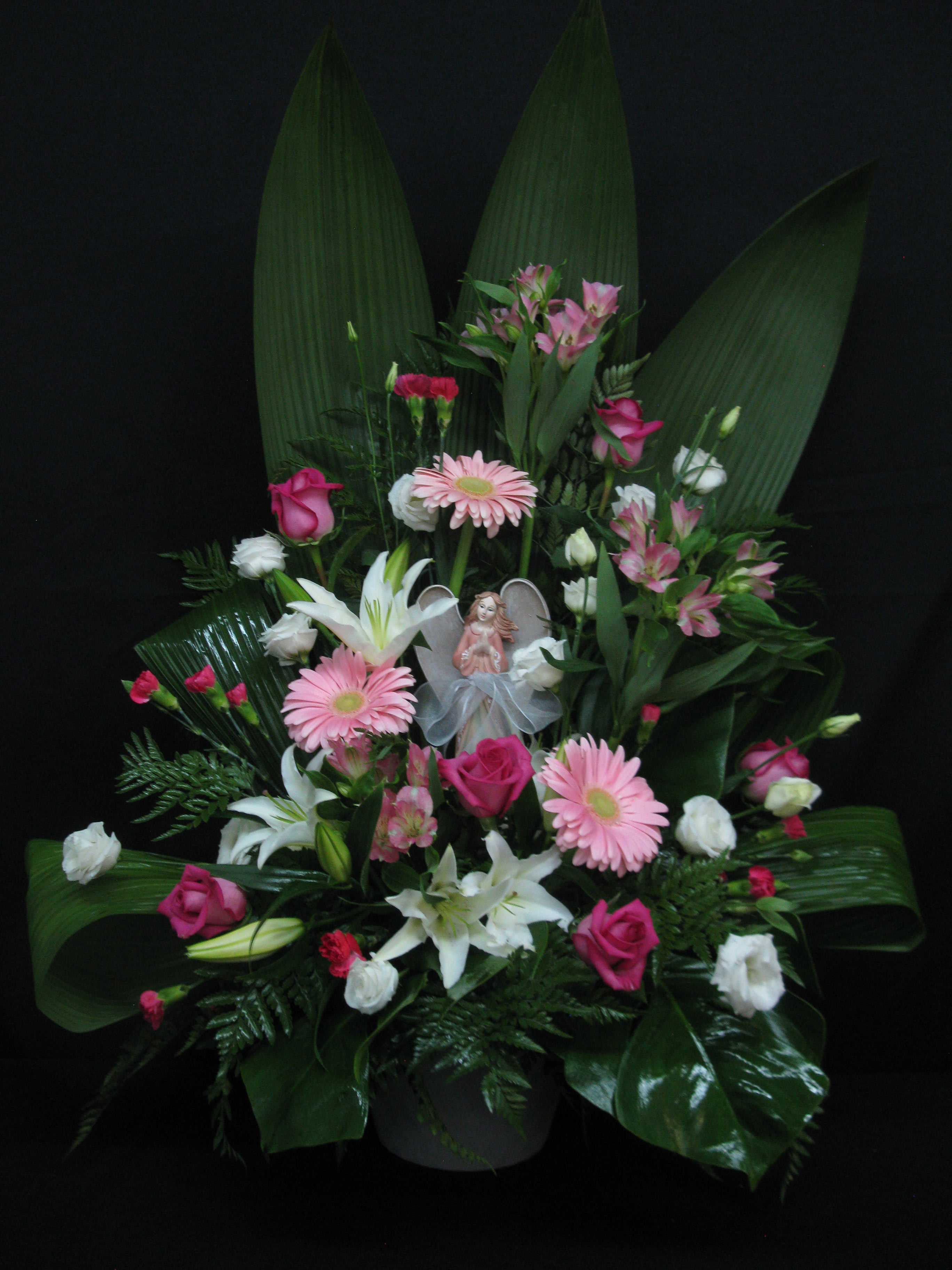 Douceur Dange Fv C40