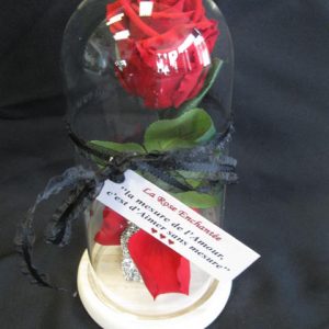 Rose éternelle rouge (FV-R01)